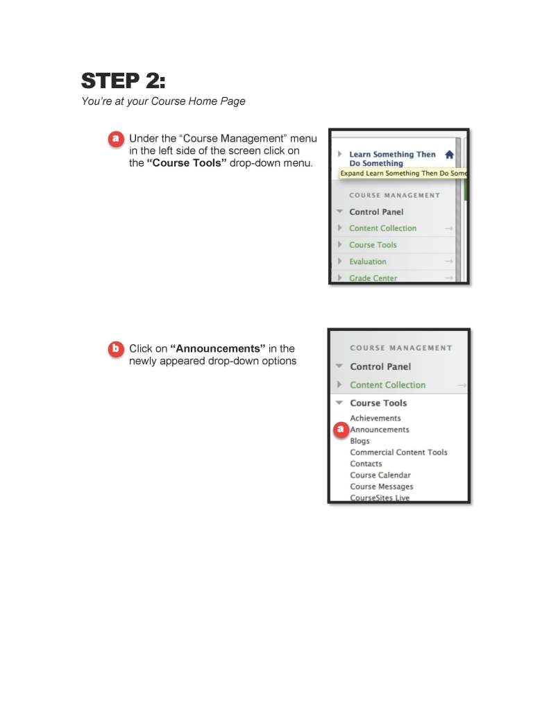 CourseSites_Page_6